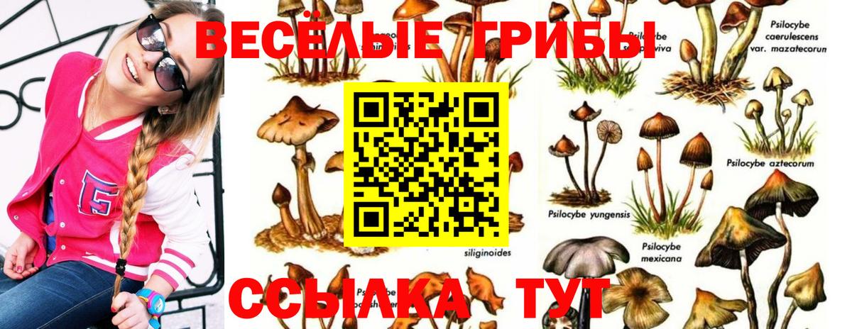 Псилоцибиновые грибы ЛСД  Вход с VPN  Галлюциногенные грибы Psilocybine cubensis  Артём 