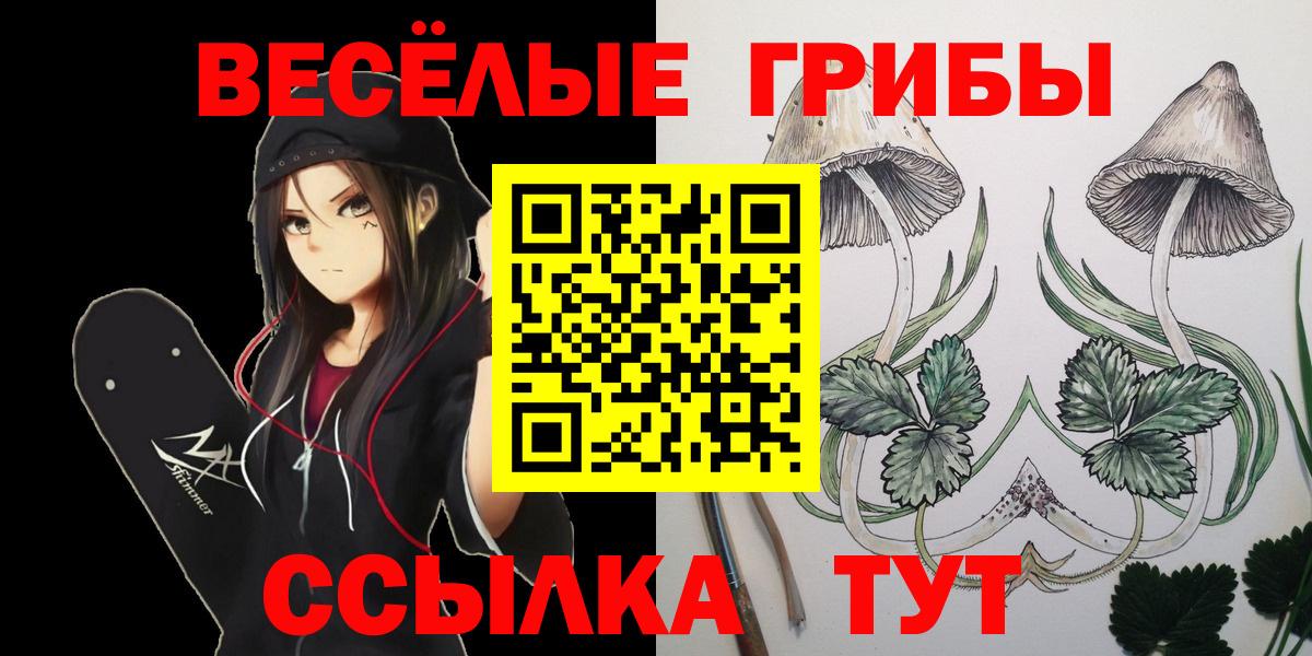 Псилоцибиновые грибы Psilocybe Артём